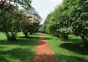 2025年最新のホテル運営戦略完全ガイド：成功へのポイントと最新トレンド