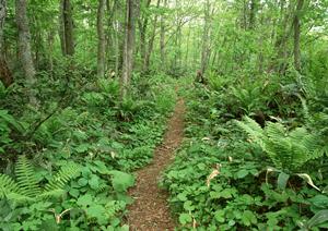 アサーティブトレーニング講座について
