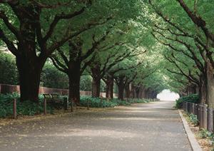 ADHDの治療を北九州市で行う！